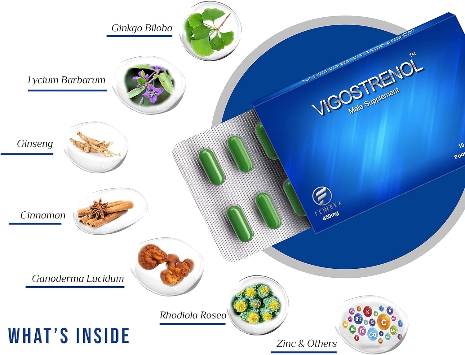 VIGOSTRENOL - Testosterone Booster - Male Food Supplement 450MG (10 Capsules)